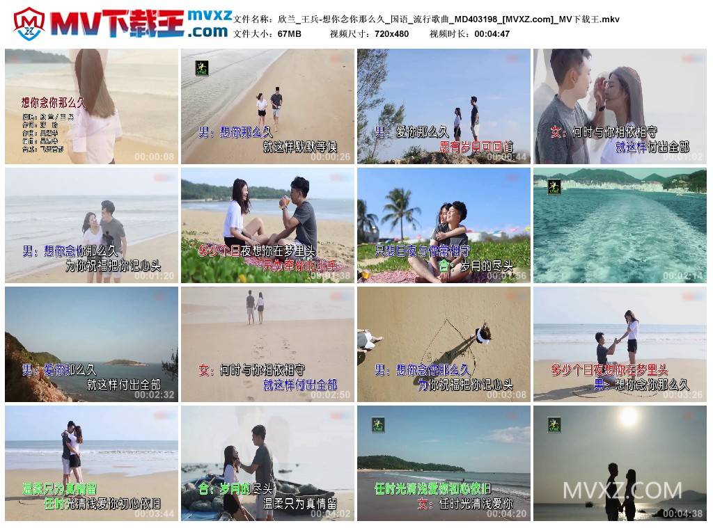 欣兰_王兵-想你念你那么久_国语_流行歌曲_MD403198